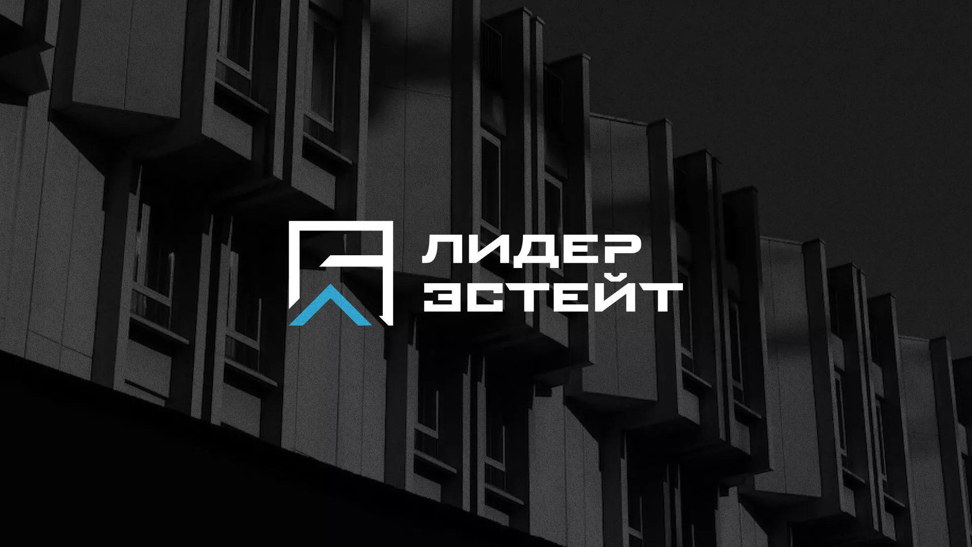 Разработка логотипа агентства недвижимости «Лидер Эстейт» в Горбатове